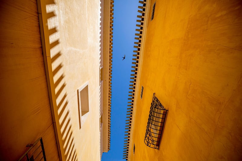 Parallel Worlds Tours